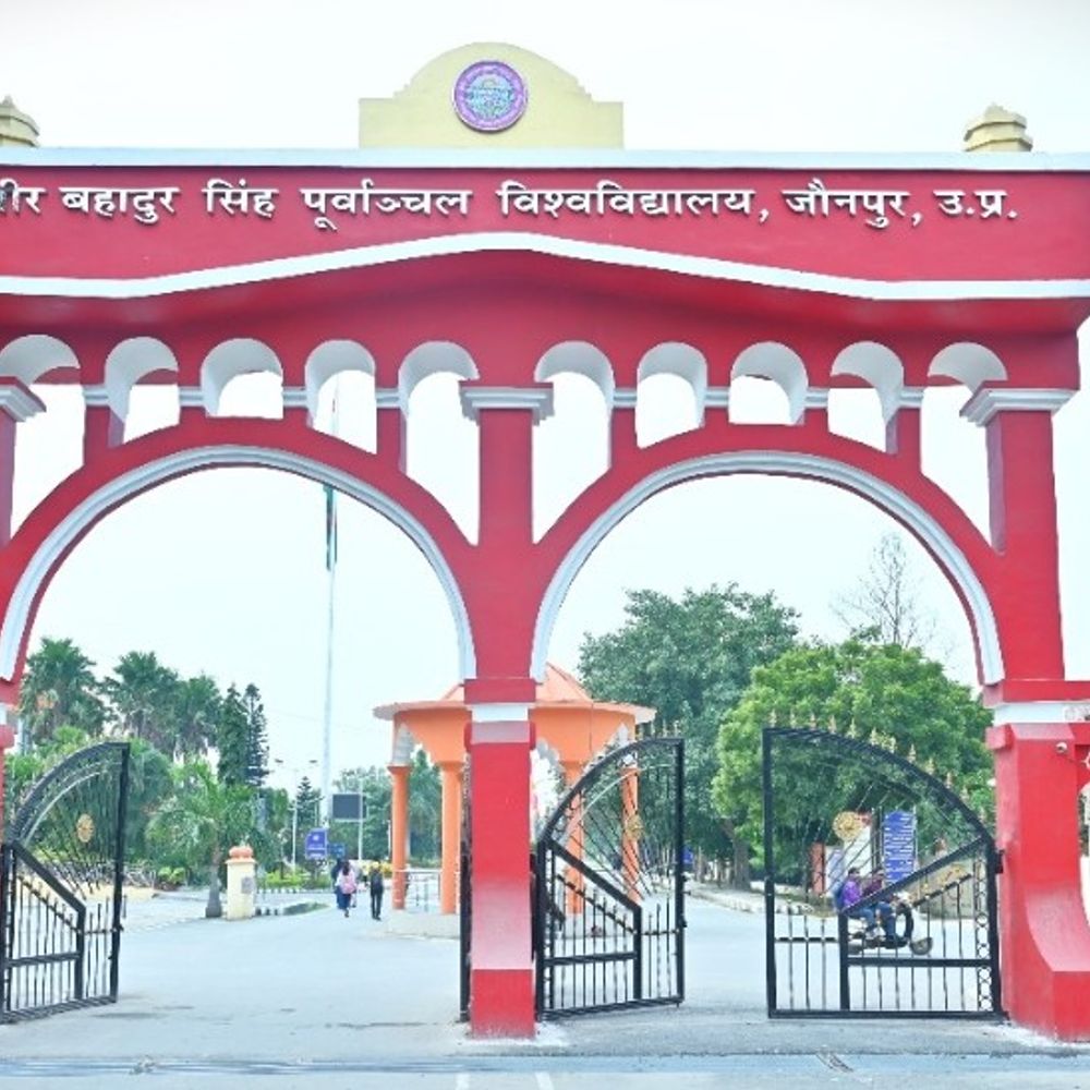 पूर्वांचल विवि में पढ़ाई संग रोजगार का हुनर:जौनपुर में कुलपति प्रो. राकेश सिंह ने शुरू की पहल, स्किल डेवलपमेंट की तैयारी