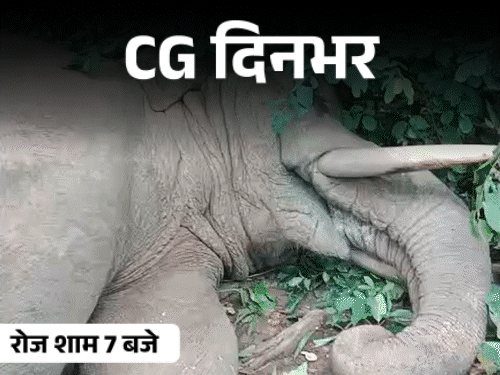 छत्तीसगढ़ दिनभर, 10 बड़ी खबरें:3 हाथियों की मौत, दिव्यांग की 16000km साइकिल राइड, नवजात को खेत में फेंका, साधु बनकर 15 तोला सोना ठगा