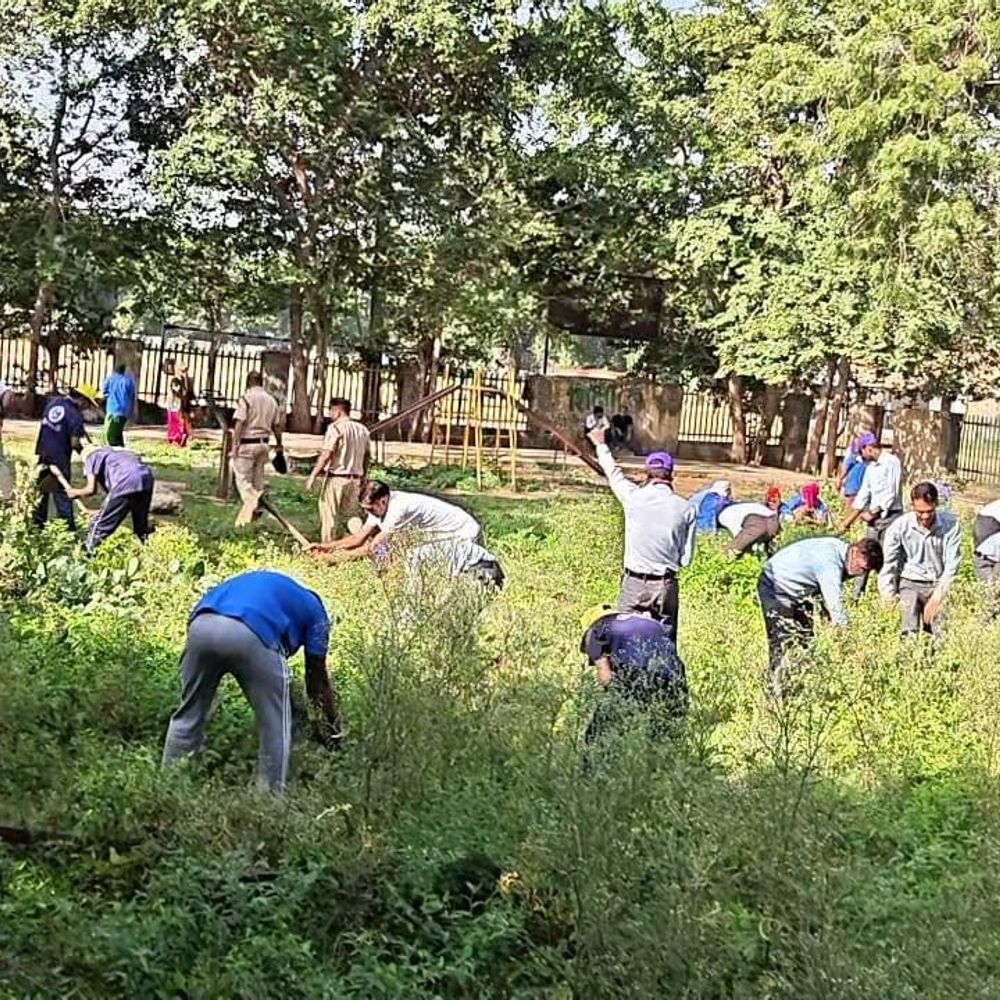 रेलवे कॉलोनी के बाल उद्यान में मेगा श्रमदान:अधिकारियों से विद्यार्थियों तक ने मिलकर की सफाई