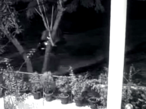 मऊ में दो बाइकों की टक्कर, एक की मौत:CCTV में कैद हुआ हादसा, टक्कर के बाद 10 मीटर दूर गिरे बाइक सवार, दो घायल