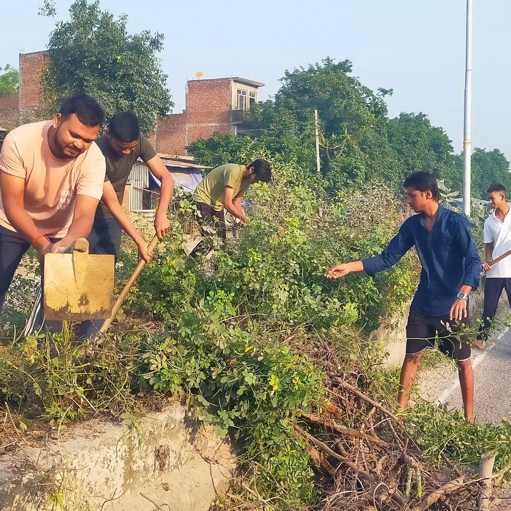 गांधी-शास्त्री जयंती पर सफाई अभियान:हरदोई-पलिया रोड पर युवाओं ने डिवाइडर से हटाई गंदगी, झाड़ियां