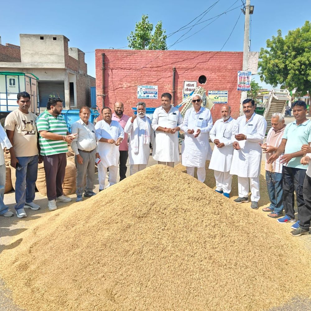 रानियां मंडी में धान की बोली शुरू:एक दर्जन से अधिक मिलरों ने लिया हिस्सा, चेयरमैन बोले- दाना-दाना खरीदा जाएगा