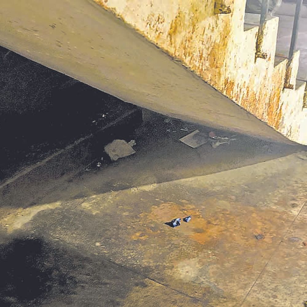 नगर परिषद का नया बोर्ड, गंदगी से अटा ​परिसर, कब मिलेगी मुक्ति