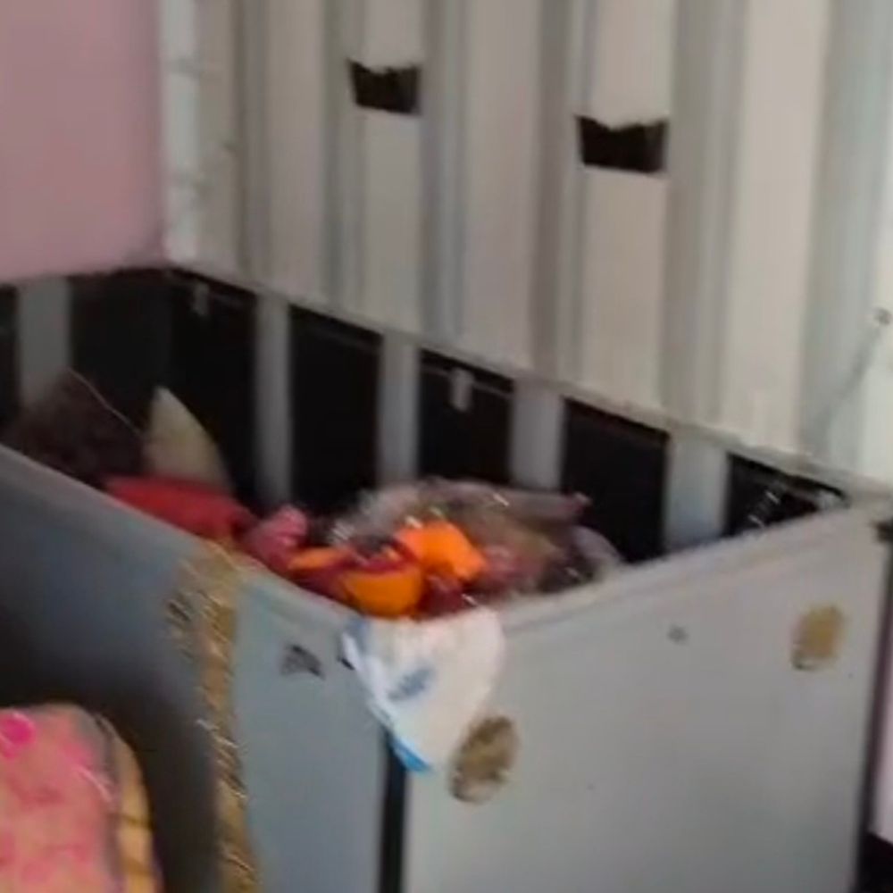 किसान के घर में दिनदहाड़े चोरी:1 लाख रुपए नकद और जेवर ले गए चोर, खेत में था परिवार; जांच में जुटी पुलिस