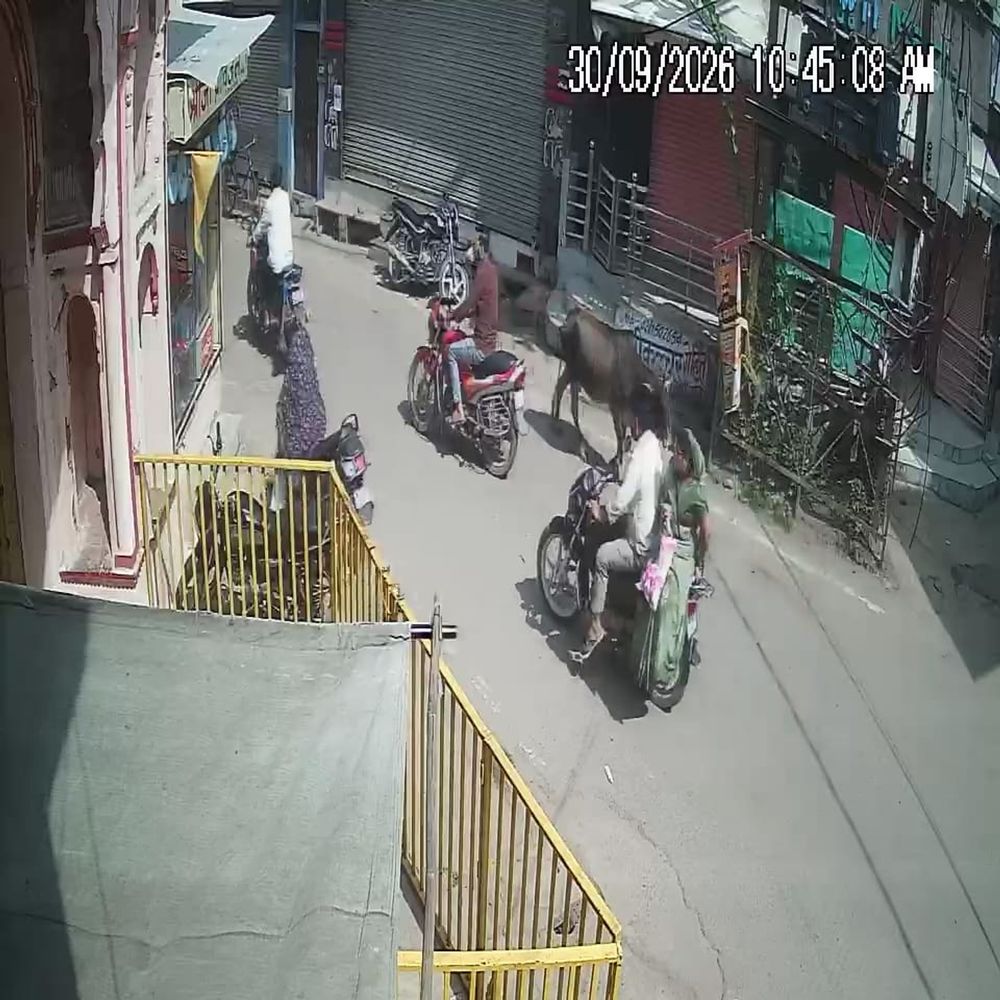 6 महीने में नपा को नहीं दिखी बीच बाजार में खुली नाली, इसी में स्कूटी समेत युवती गिरी, लोगों ने बचाया