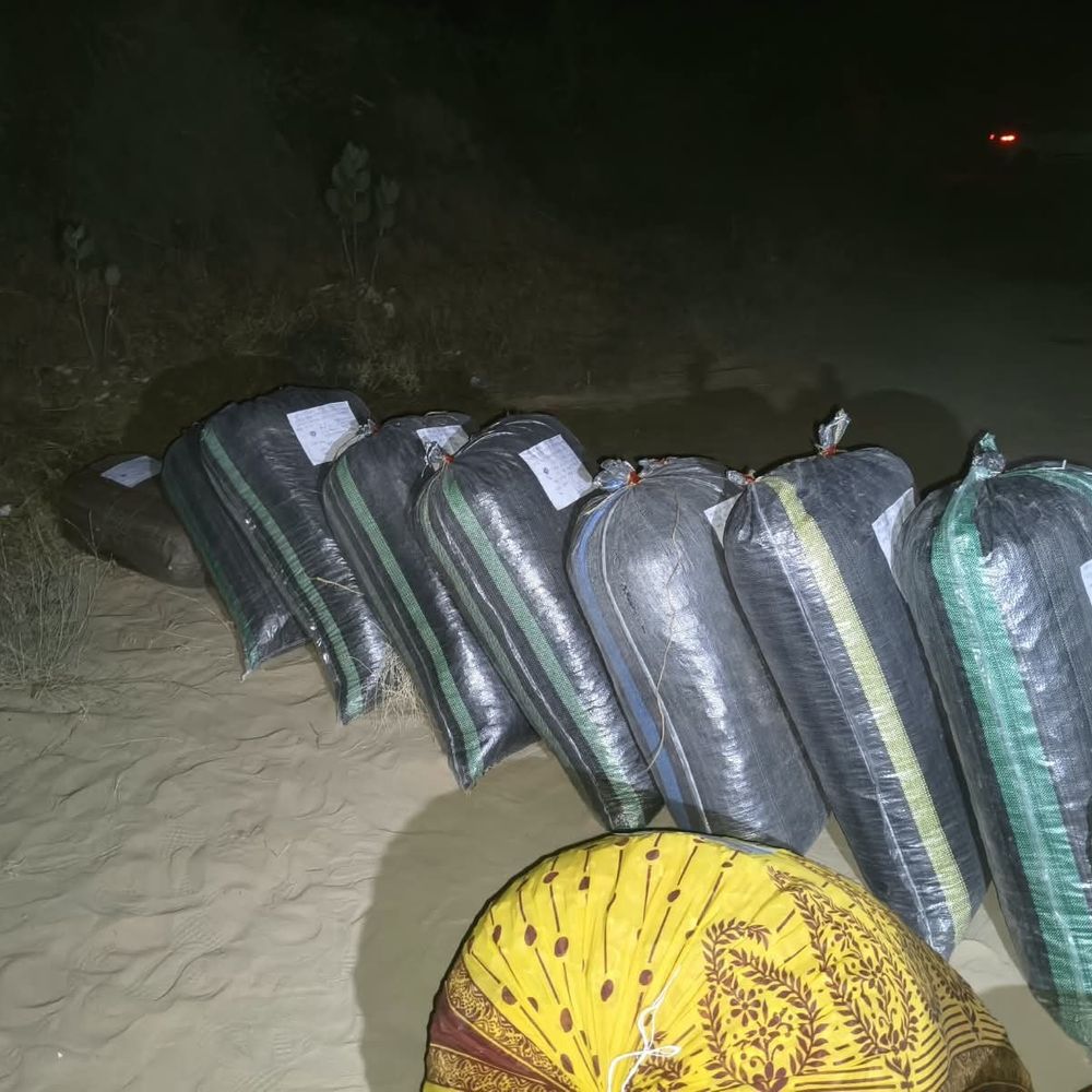 धोरीमन्ना पुलिस ने 180 किलो डोडा पोस्त पकड़ा:दो आरोपी गिरफ्तार, स्कॉर्पियो से दो पिस्टल और 8 कारतूस भी मिले