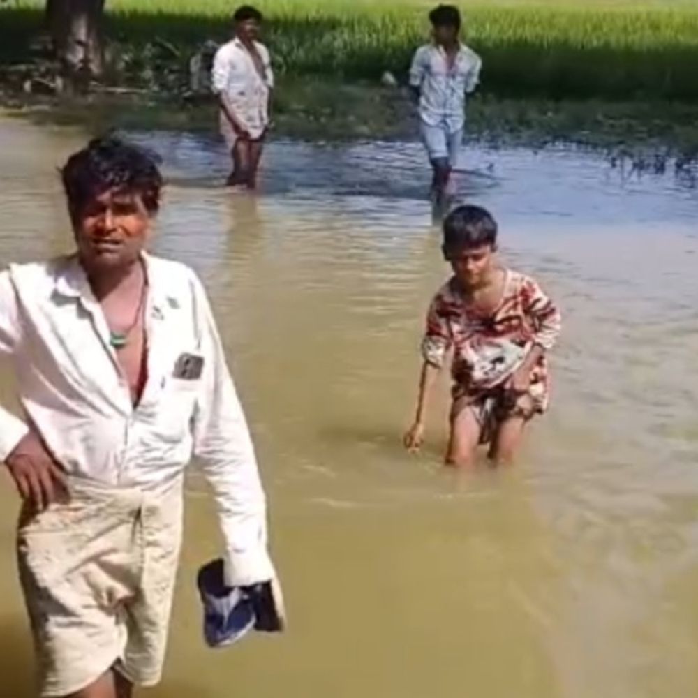 बाढ़ के पानी से चारों तरफ घिरा गुलरगजवा गांव:सिद्धार्थनगर में बाहरी संपर्क टूटा; ग्रामीण बोले- पूरा गांव बना टापू