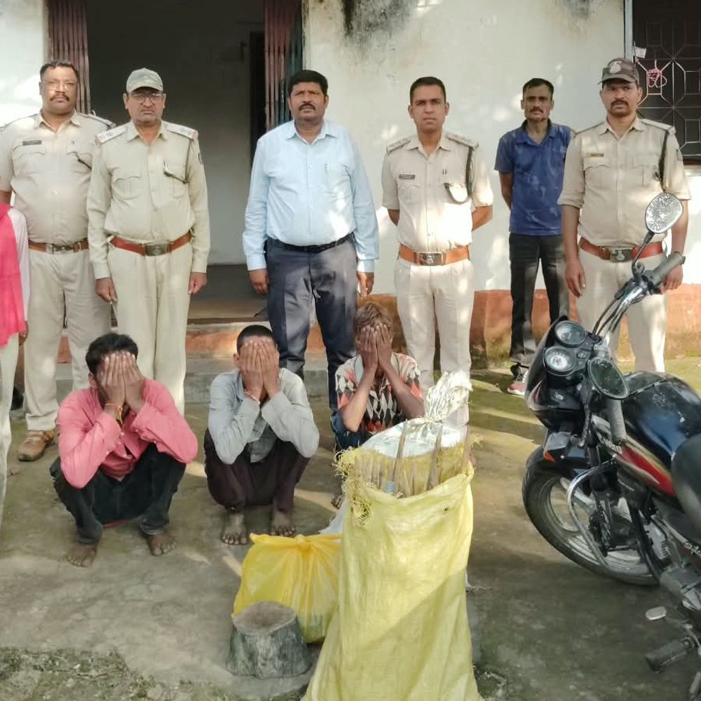 जंगली शूकर का शिकार करने वाले 3 आरोपी गिरफ्तार:एक फरार, कुल्हाड़ी-बिजली के तार जब्त; अनूपपुर में 11 केवी लाइन से करंट फैलाया था