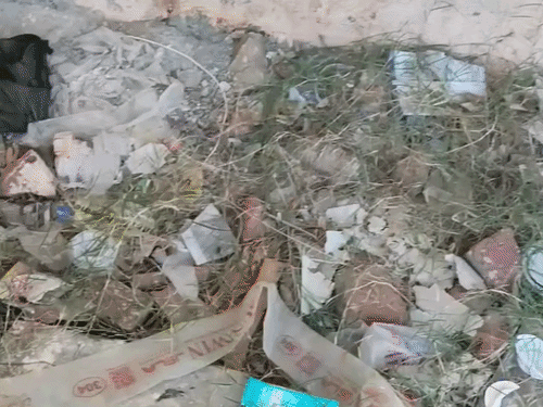 भिवानी के स्वर्ण जयंती पार्क का हाल बेहाल:नए डस्टबिन लगे, फिर भी पार्क में कचरे के ढेर; घास ने भी बिगाड़ी सुंदरता
