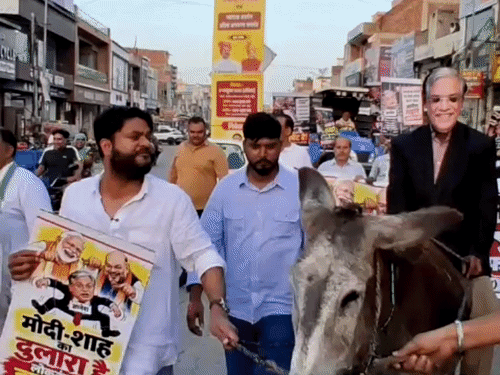 गधे पर ज्ञानेश कुमार का मुखौटा पहनाकर निकाला जुलूस:करनाल में कांग्रेस का प्रदर्शन, मुख्य चुनाव आयुक्त का मांगा इस्तीफा; SIR पर उठाए सवाल