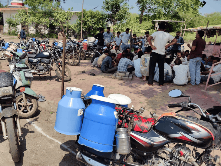 रायसेन में गाय का ₹60 और भैंस ₹70 लीटर दूध:पशुपालकों और डेयरी संचालकों ने लिया फैसला; उपभोक्ताओं में नाराजगी