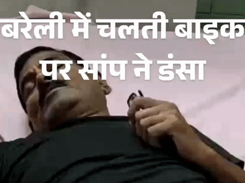 बरेली में चलती बाइक पर सांप ने डंसा, हालत नाजुक:बाइक सीट के नीचे छिपा था, 2 महीने में सवा सौ सर्पदंश के मामले आए सामने