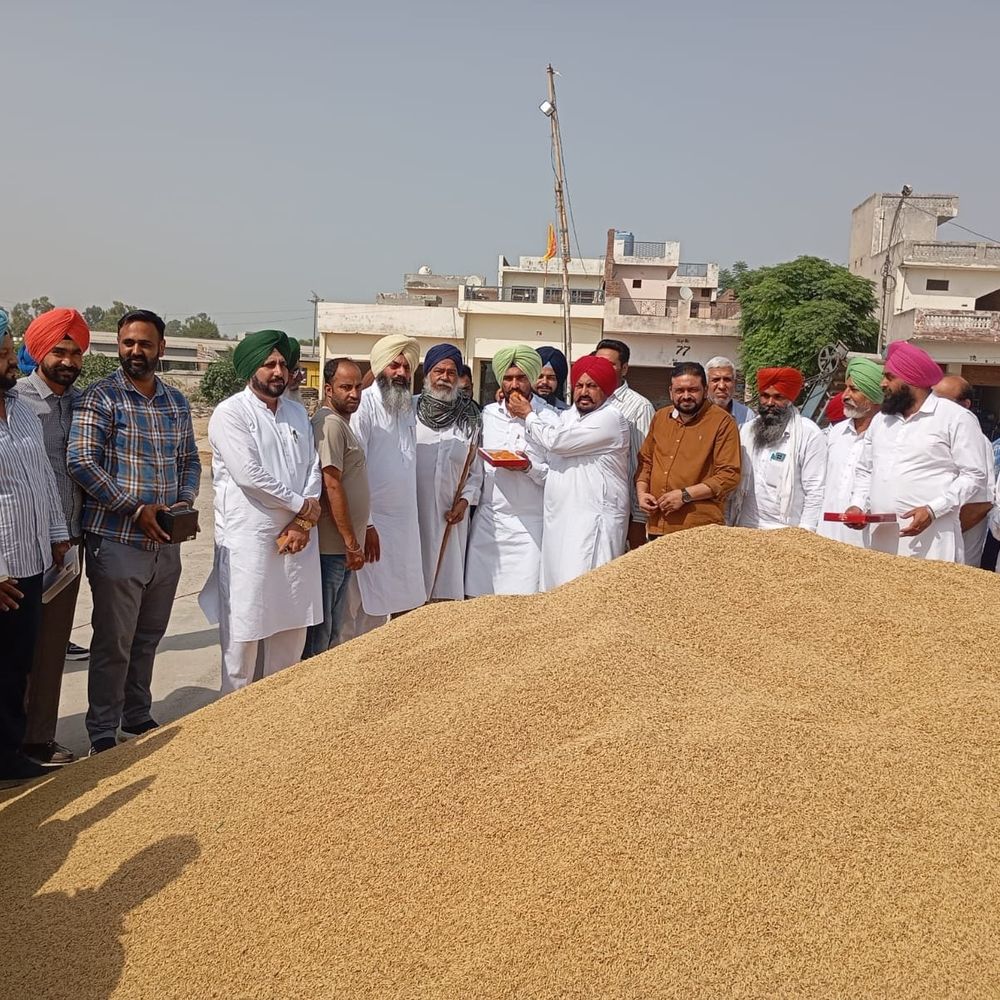 AAP हलका इंचार्ज ने धान खरीद का जायजा लिया:पट्टी मंडी पहुंचे, किसानों से अपील- सूखा धान लाएं, 24 घंटे में सीधे भुगतान होगा