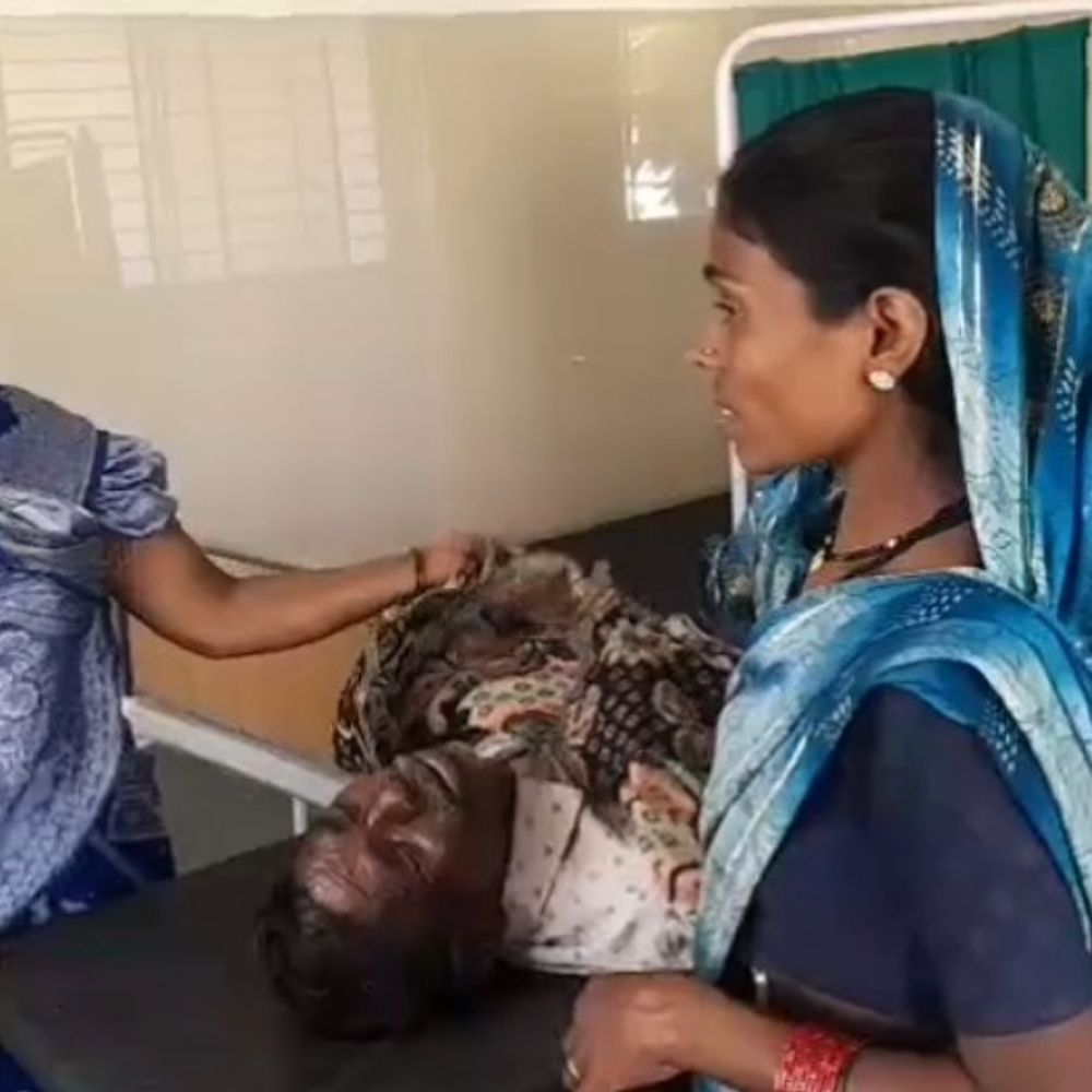 बुजुर्ग और दो बच्चों पर मधुमक्खियों का हमला:छिंदवाड़ा में दादा-नाती की मौत, नातन गंभीर घायल.. इलाज जारी