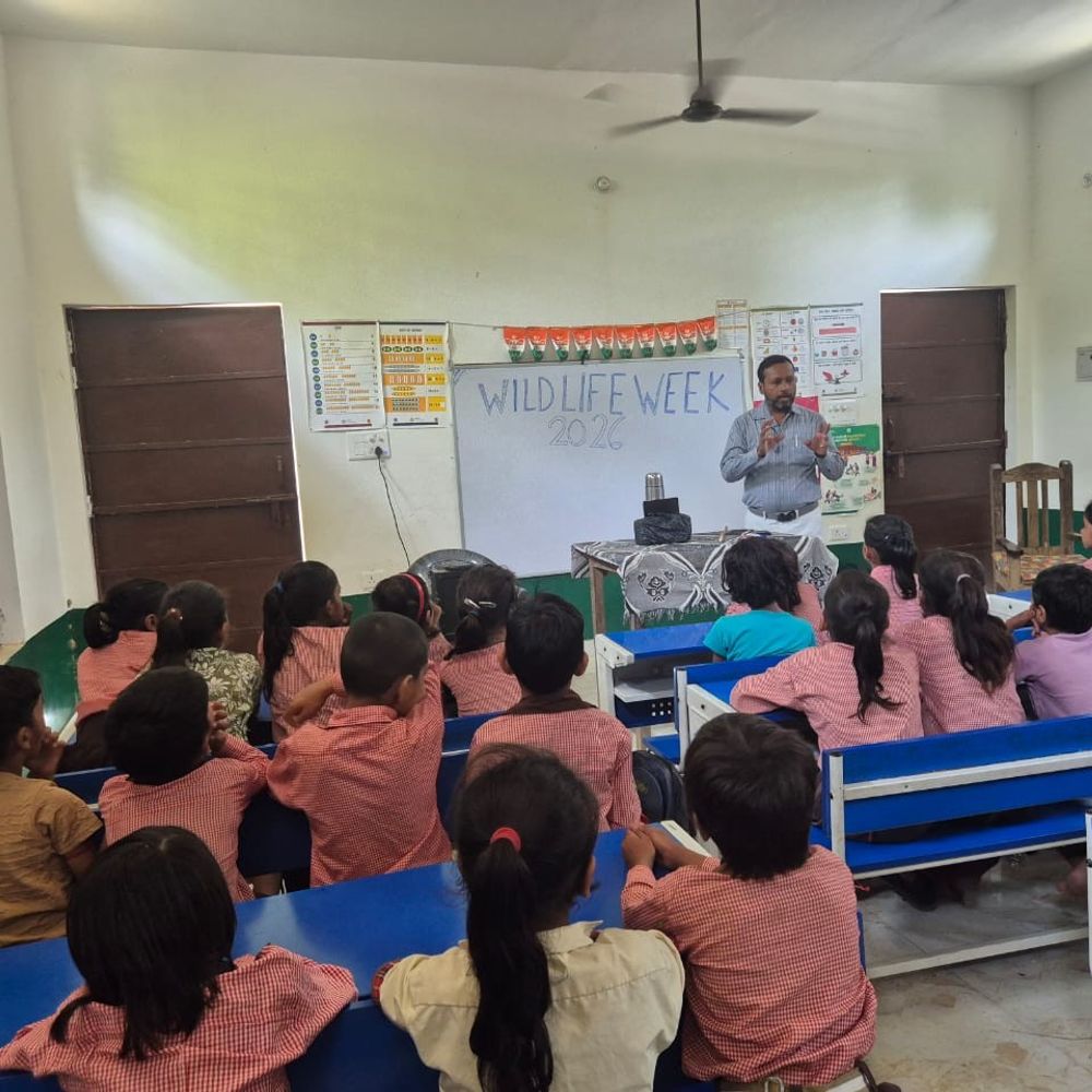 इंडियन स्कीमर संरक्षण अभियान:विद्यार्थियों ने पेंटिंग, स्लोगन और संवाद से पक्षी बचाने का संदेश दिया