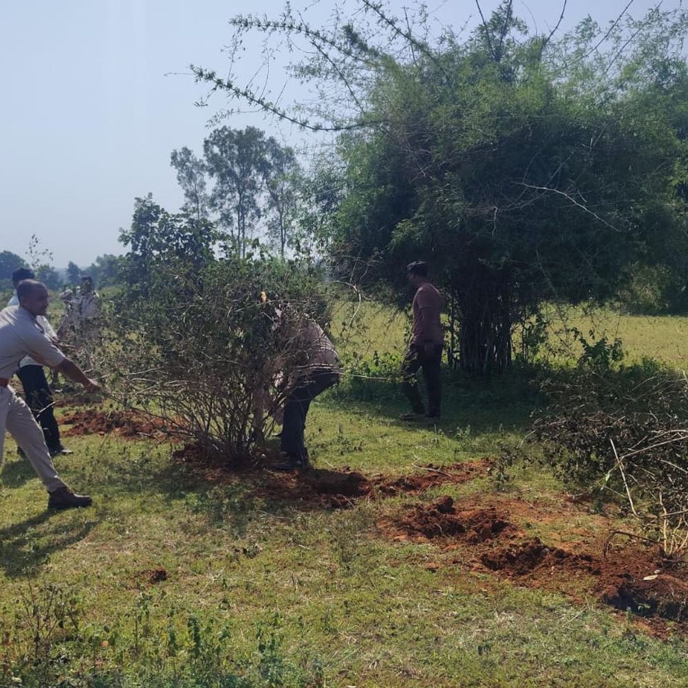 पन्ना में वनभूमि पर कब्जे की कोशिश नाकाम:वन अमले ने अवैध बाड़ हटाकर जमीन कराई मुक्त