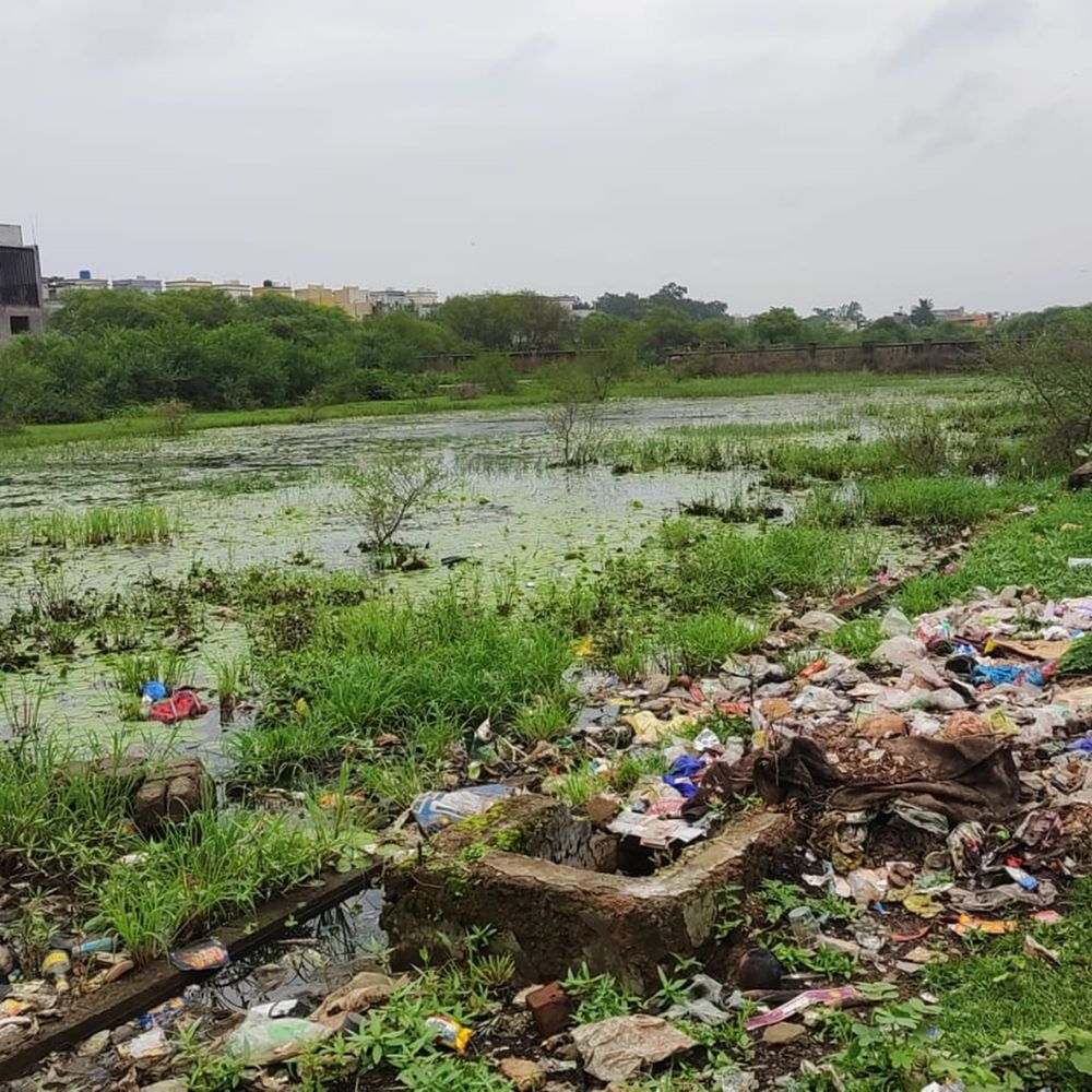 कॉलोनियों में बारिश का पानी जाम, मच्छरों का प्रकोप बढ़ा