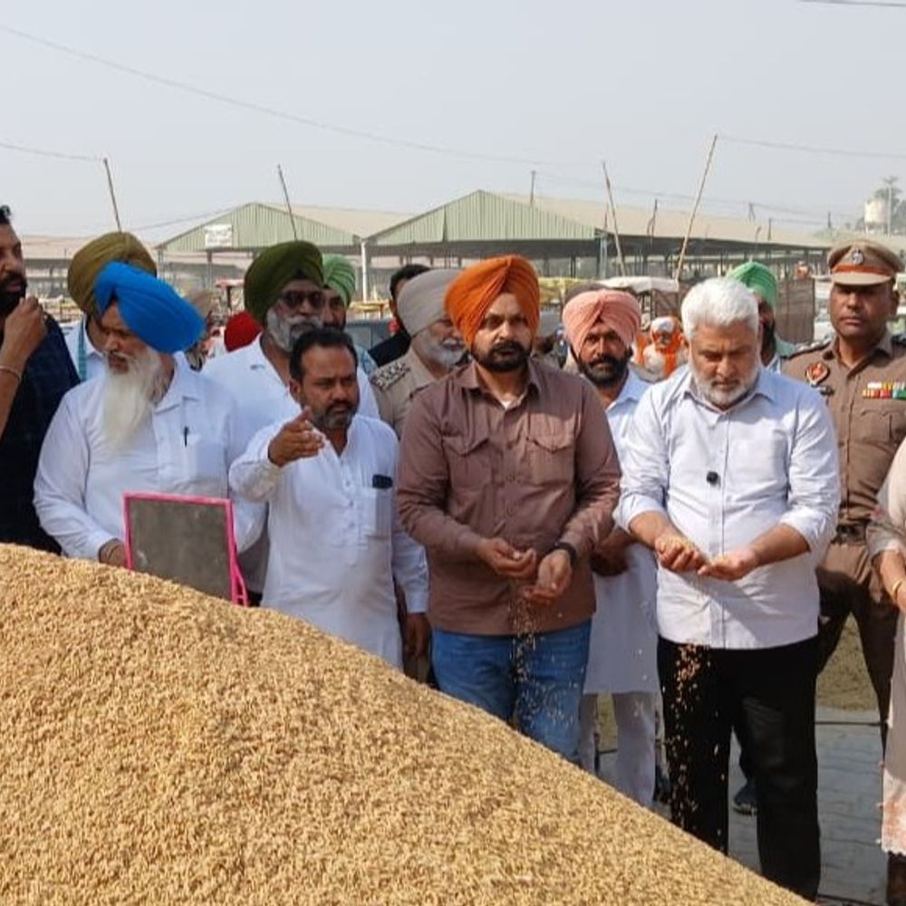 तरनतारन मंडी पहुंचे मंत्री लालचंद कटारूचक्क:धान खरीद के इंतजामों का जायजा लिया, बोले- फसल का दाना-दाना खरीदेगी पंजाब सरकार