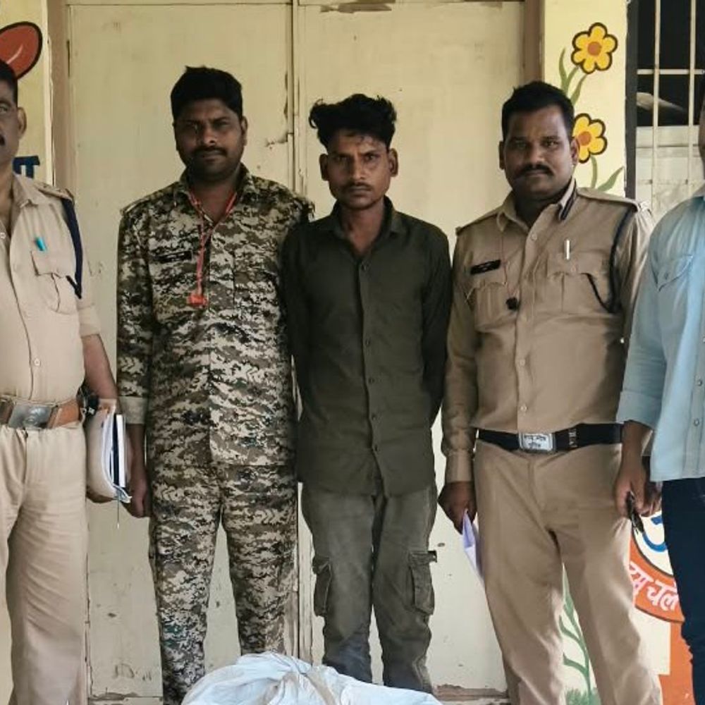 सतना में निर्माणाधीन कमरे से 32 किलो गांजा बरामद:आरोपी गिरफ्तार; प्लास्टिक झाल और बोरी में छिपाकर रखा था