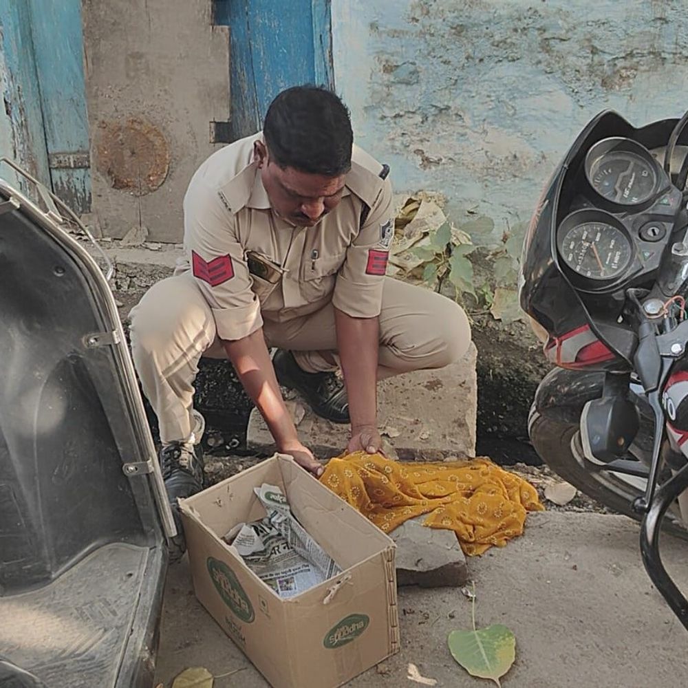5 महीने का भ्रूण मुंह में दबाकर घूमता मिला कुत्ता:प्रत्यक्षदर्शी ने छुड़ाया; भ्रूण पर अस्पताल की सील मिली, पुलिस ने पोस्टमार्टम के लिए भेजा