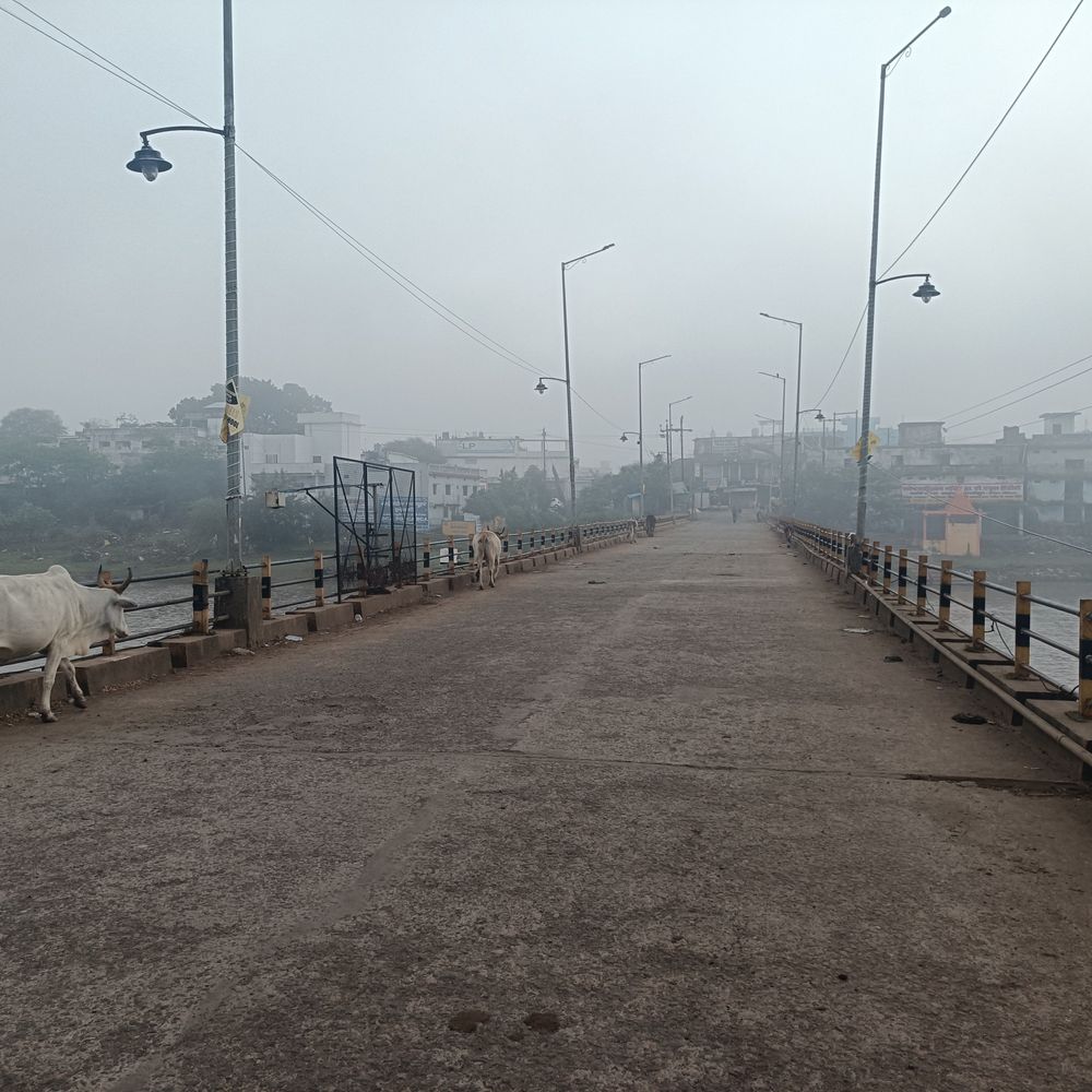 डिंडोरी में घना कोहरा, विजिबिलिटी 20 मीटर तक गिरी:दिन में भी लाइट जलाकर चले चालक; किसान बोले-रबी फसलों को मिलेगा फायदा