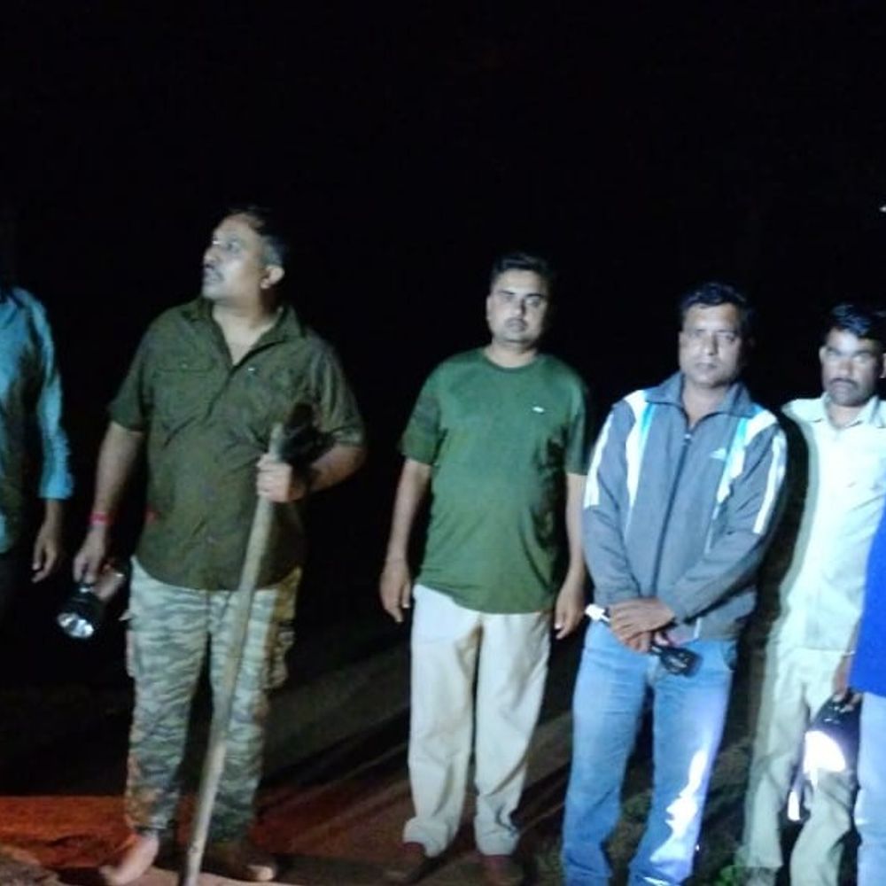 बीटीआर का कॉलर वाला हाथी चंदिया के जंगल पहुंचा:वन विभाग अलर्ट, गांवों में मुनादी; पुलिस और वन विभाग की टीम निगरानी में जुटी