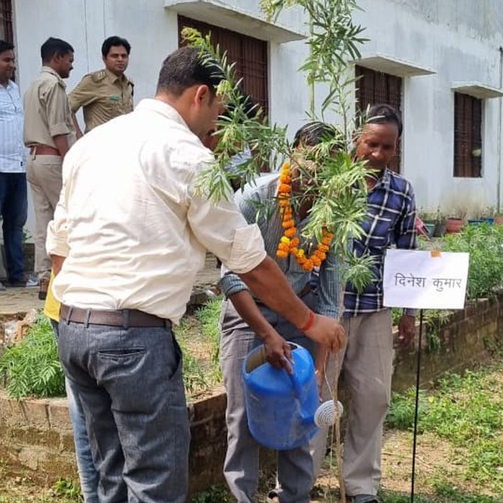 अयोध्या के स्कूल में औषधीय, छायादार पौधे रोपे:विद्यार्थियों ने लिया पर्यावरण संरक्षण का संकल्प