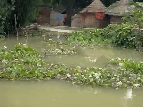 बेल्थरारोड में सरयू का जलस्तर 64.870 मीटर पर पहुंचा:तुर्तीपार श्मशान घाट पानी से घिरा, छोटकी टंगुनिया के लिए 3 से 4 नाव की मांग