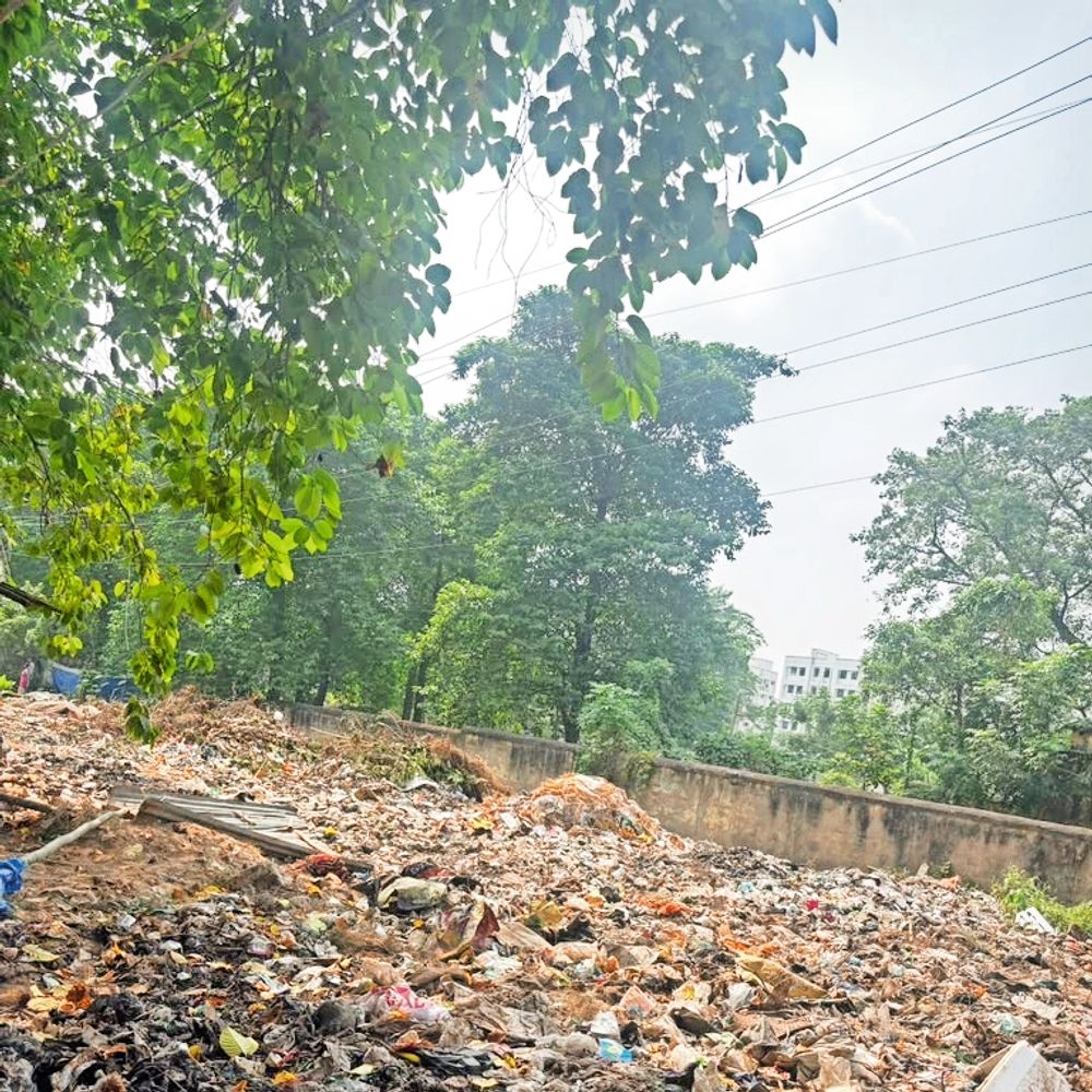 कॉलेज की चहारदीवारी के बाहर कचरे का ढेर, हॉस्टल तक बदबू
