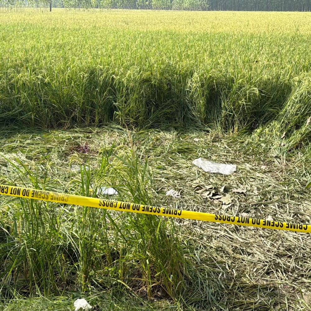 पूरन हत्याकांड का 13 घंटे बाद भी खुलासा नहीं:धान के खेत में मिली थी गर्दन कटी लाश, पुलिस दो बुजुर्ग भाइयों से कर रही पूछताछ