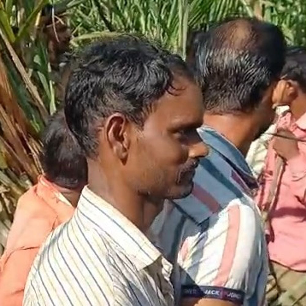 लखीमपुर में तेंदुएं ने मासूम को मार डाला:घर के आंगन से घसीटकर ले गया था, पीछा करते हुए 200 मीटर तक दौड़े पिता; गन्ने के खेत में मिला अधखाया शव