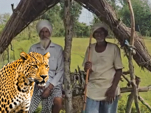 तेंदुए के डर से स्कूल नहीं जा रहे बच्चे:लखीमपुर में रातभर रखवाली कर रहे लोग; 2 मासूमों को घर से उठा ले गया था