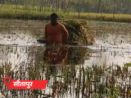 यूपी में बारिश थमी, अगले एक सप्ताह शुष्क रहेगा मौसम:लखनऊ में कीचड़-बदबू से परेशानी, सीतापुर में पानी में डूबी धान की फसल