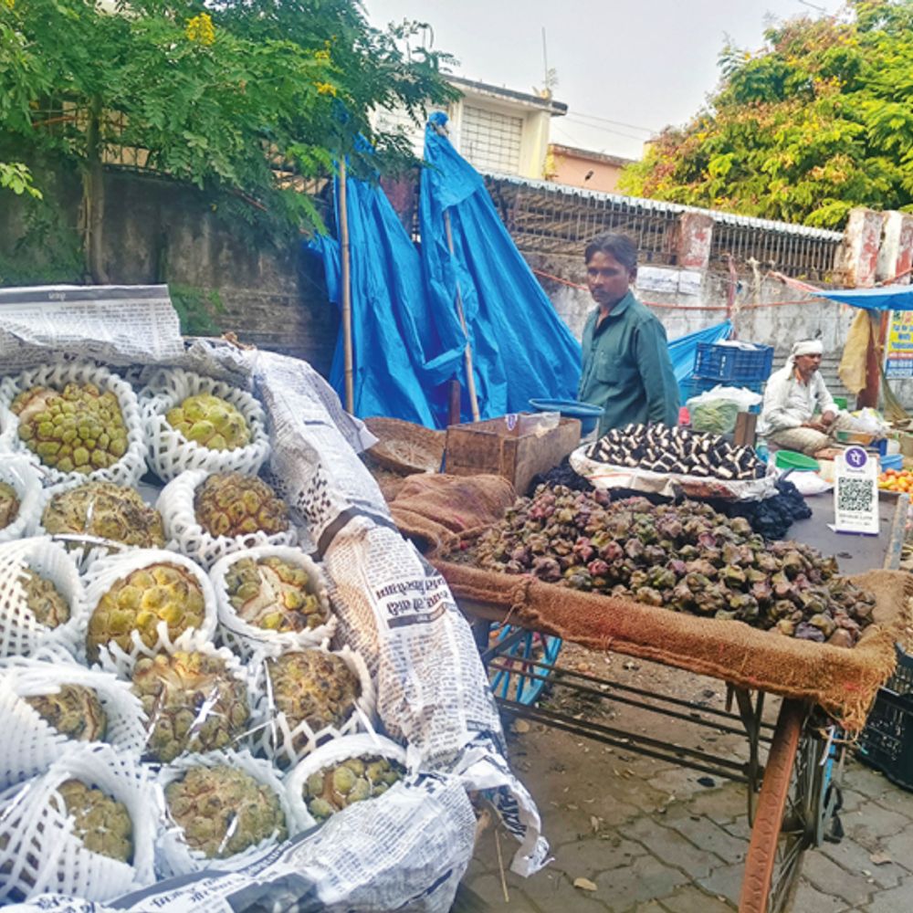 फलाहार, मेहमाननवाजी के लिए खरीद बढ़ने से बजट प्रभावित:त्योहारों में फलों के दाम 10 प्रतिशत तक बढ़े, सिंघाड़ा 200 रुपए प्रति किलो
