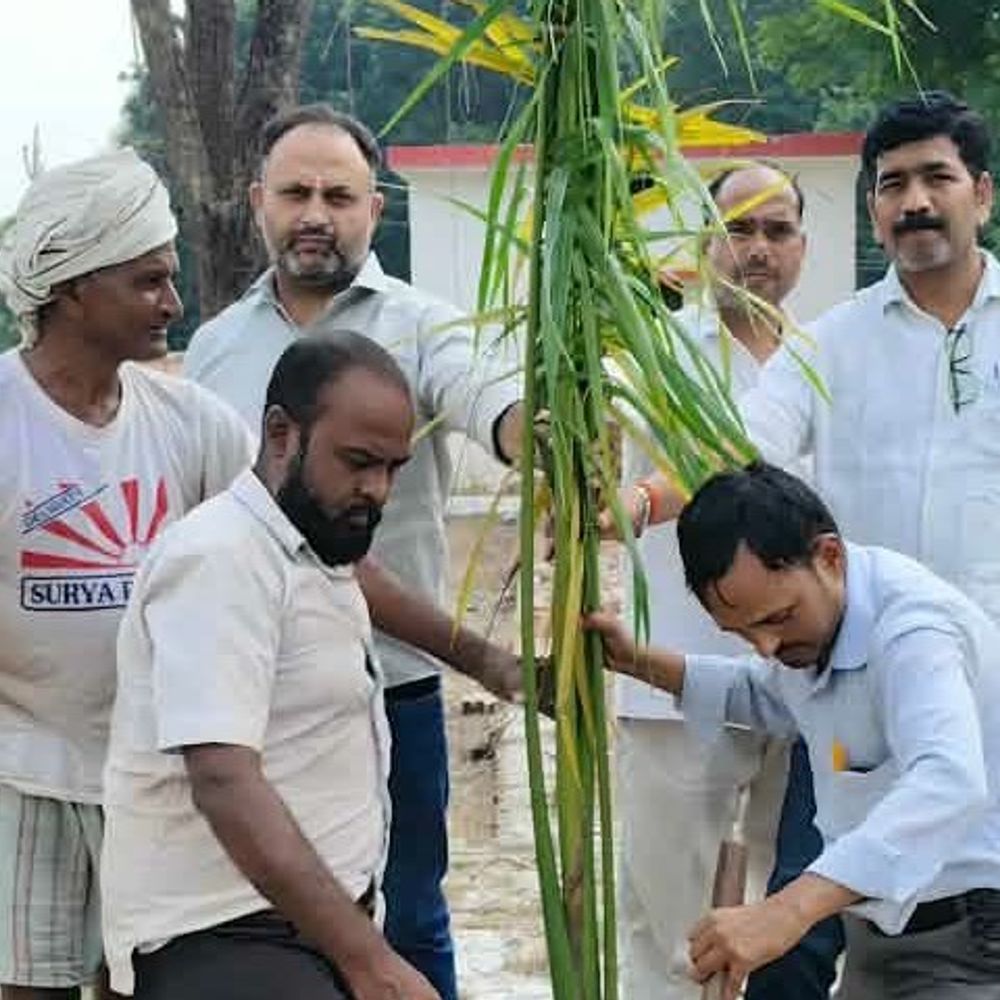 अयोध्या के पलिया लोहानी में पौधरोपण:अंत्येष्टि स्थल पर रोपे पौधे, पर्यावरण प्रेमी ने दिया संरक्षण संदेश