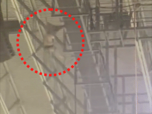 अमेरिका में 170 फीट ऊंचाई से गिरकर सैनिक की मौत:रस्सी के सहारे उतर रहा था; स्टेडियम में 23 हजार लोग मौजूद थे