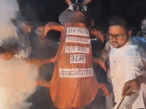 कानपुर में युवाओं ने कॉकरोच का पुतला फूंका:CJP के खिलाफ नारेबाजी, बोले- PM मोदी के खिलाफ अपशब्द बर्दाश्त नहीं