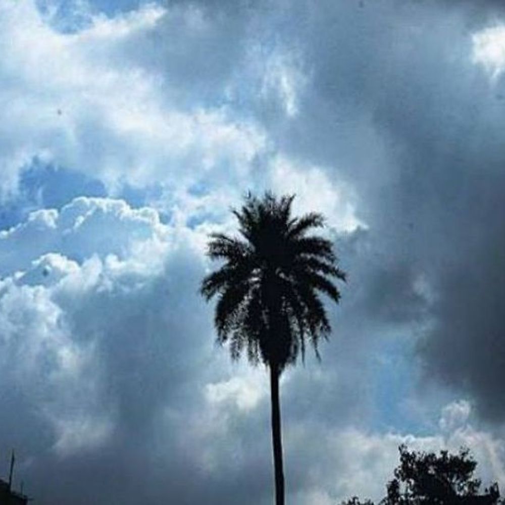 मौसम का हाल:बस्तर संभाग में बारिश का रेड अलर्ट, छत्तीसगढ़ में 27 अक्टूबर से बारिश के आसार, रात में कम होगी ठंड