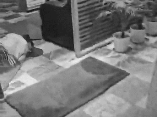 गुवाहाटी के होटल में शूटआउट, 4 की मौत:इसमें एक महिला, रिसेप्शन के पास शव पड़े मिले