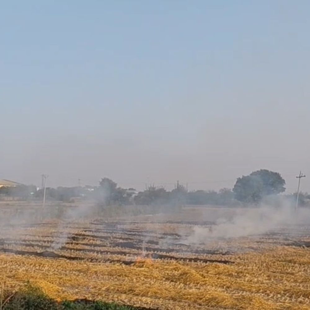 फर्रुखाबाद में रोक के बावजूद जलाई जा रही पराली:मोहम्मदाबाद में कई बीघे में किसानों ने जलाई, डॉक्टर बोले- सांस रोगियों को बढ़ेगा खतरा