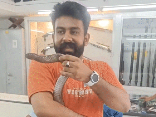 लखनऊ ट्रिपल मर्डर का आरोपी ऋषभ गोल्ड मेडलिस्ट शूटर:स्नेक-डॉग से प्यार; पार्टियों और रंगबाजी का शौकीन, देखिए VIDEO...