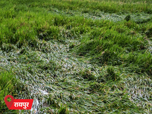 यूपी-एमपी, राजस्थान समेत 14 राज्यों में आंधी-बारिश जारी:अर्नब का असर, रेड-ऑरेंज अलर्ट भी; ठंडी हवाओं से दिन के तापमान में गिरावट आई