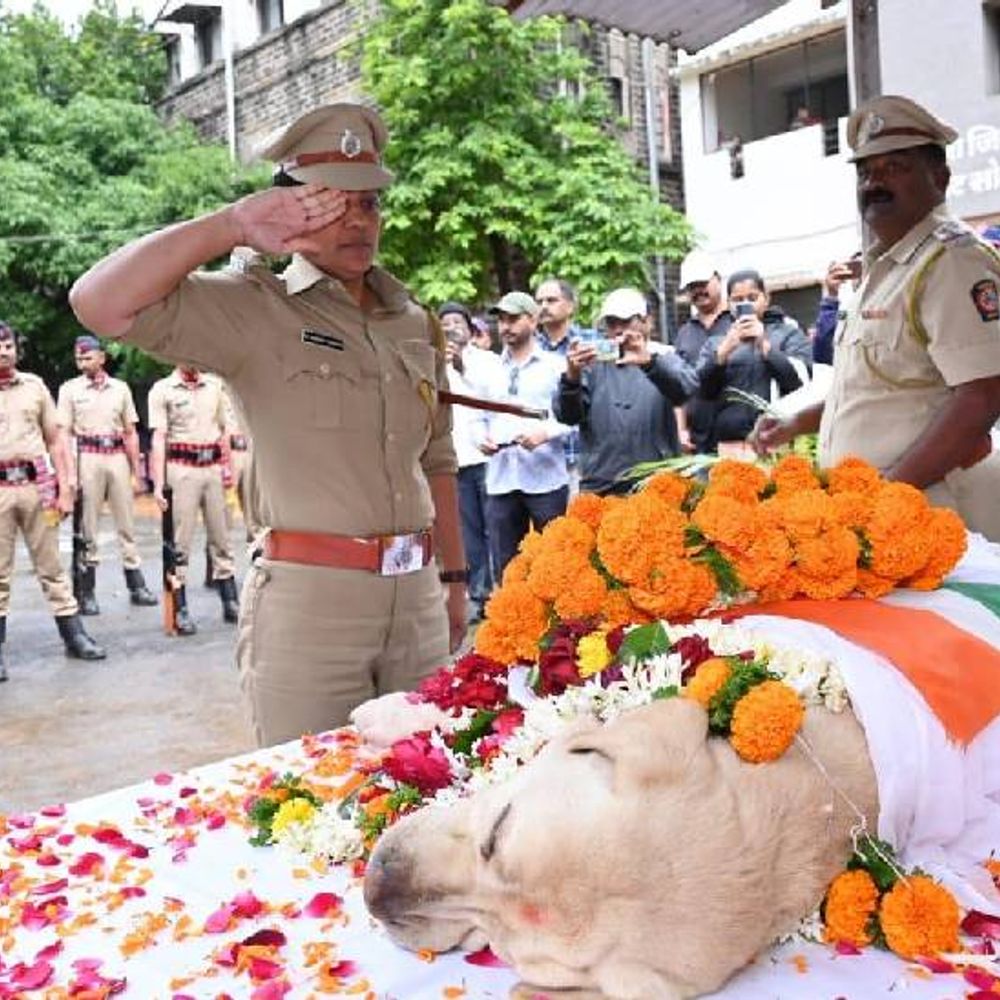 ‘सूर्या’च्या एक्झिटने सातारा पोलिस दलावर शोककळा:शासकीय इतमामात अंत्यसंस्कार; ऑल इंडिया ड्युटी मीट स्‍पर्धेत पटकावले होते सुवर्णपदक
