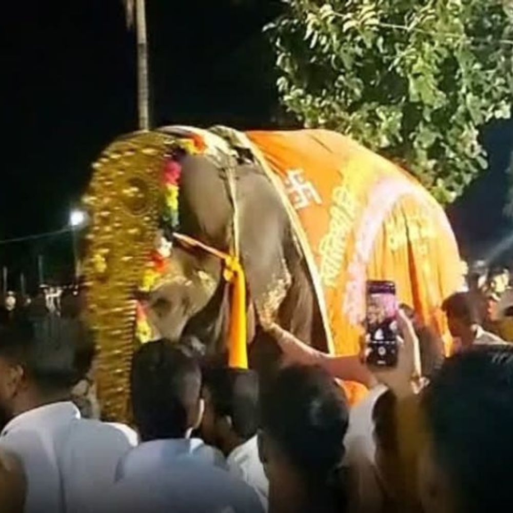 नांदणी मठाची ‘माधुरी’ हत्तीण परत येणार?:वनतारा कायदेशीर कारवाईत सहकार्य करणार, पालकमंत्री प्रकाश आबिटकरांनी दिली माहिती