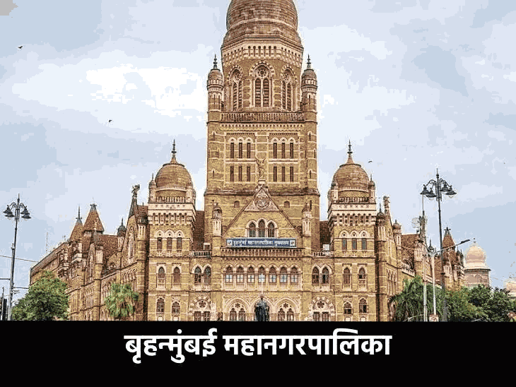 नवीन प्रभाग रचना, OBC आरक्षणासह होणार महापालिका निवडणुका:सर्वोच्च न्यायालयाचा मोठा निर्णय, सर्व याचिका फेटाळल्या