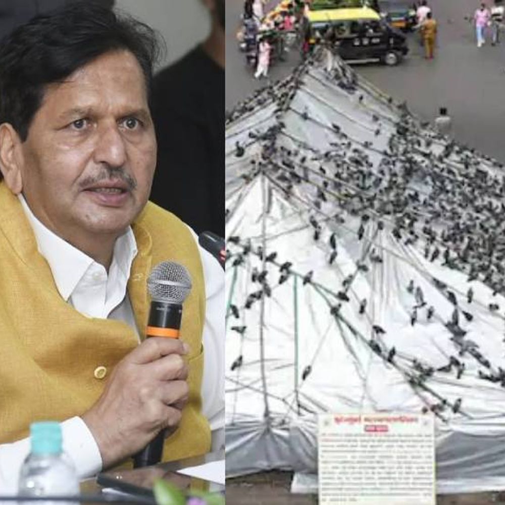 दादरमधील कबुतर खाना पूर्णपणे बंद:कबुतरांचा मृत्यू होत असल्याने धार्मिक संघटना आक्रमक; मंत्री मंगल प्रभात लोढांचा पुढाकार, लवकरच बैठक