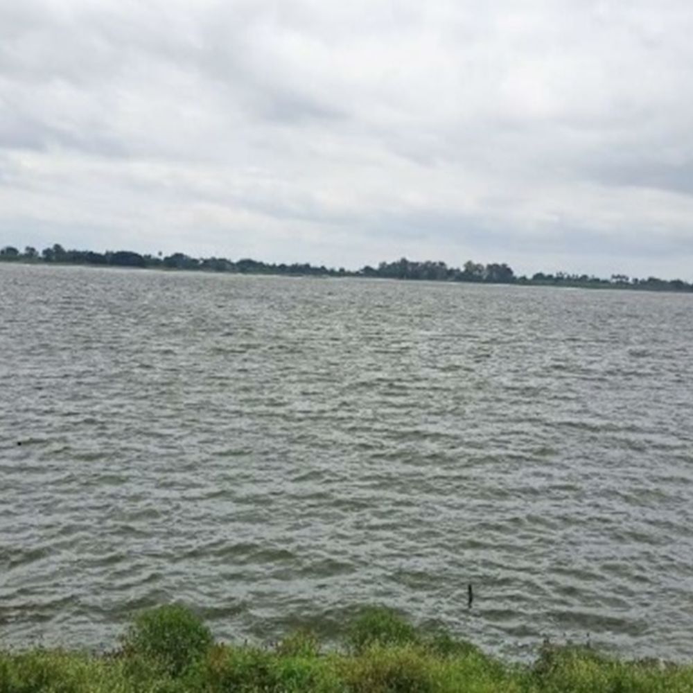 दिलासा:तब्बल 25 गावांना पाणी पुरवणारा मुसळवाडी तलाव पूर्ण क्षमतेने भरला, मुळा धरणाच्या कालव्यातून आवर्तन सुरु, शेतकऱ्यांमध्ये समाधान
