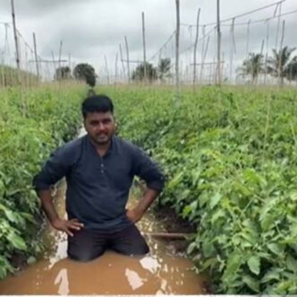 आम्हाला पंचनामा नुकसानभरपाई नको, फक्त हमीभाव द्या:शेतकऱ्याने शेतात साचलेल्या पाण्यात बसून मांडली व्यथा; शेती पिकांचे मोठे नुकसान