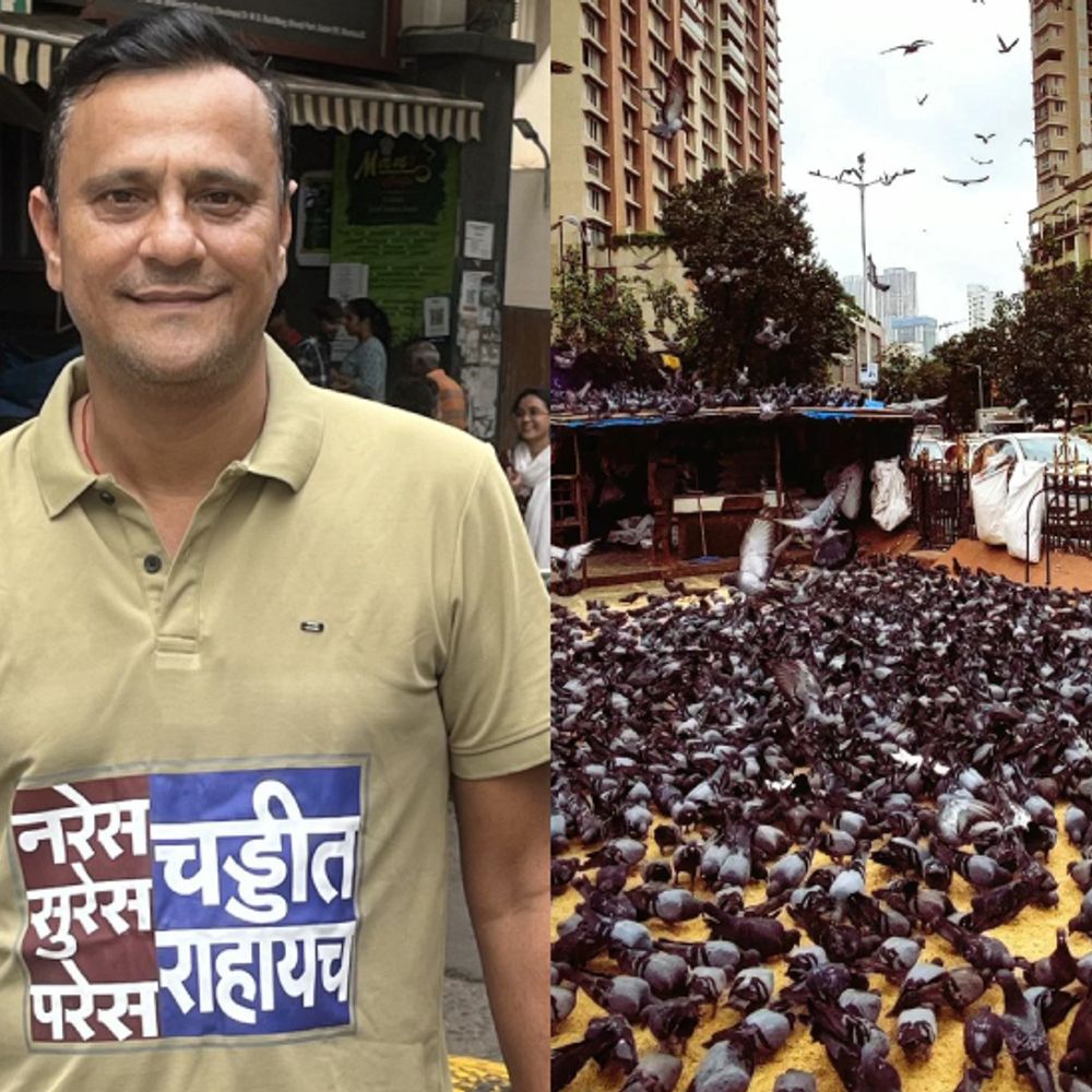 ‘नरेस, सुरेस, परेस, चड्डीत राहायचं!’:मनसे नेते संदीप देशपांडेंचा टी-शर्ट चर्चेत, दादर कबूतरखाना वाद चिघळणार?