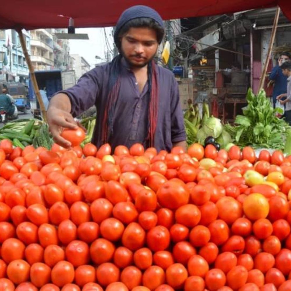 पाकिस्तानात टमाटे ₹600 किलो, 400% वाढले दर:अफगाणिस्तानशी वादामुळे क्रॉसिंग बंद, 5000 कंटेनर अडकले; पुरवठा निम्म्यावर
